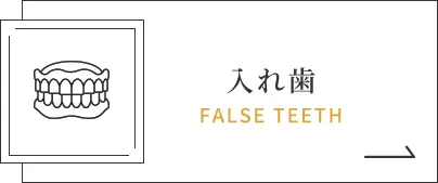 入れ歯｜FALSE TEETH